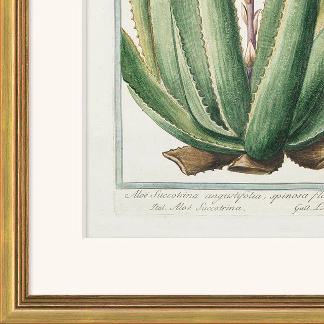 Archival Giclee Print. High quality materials and craftsmanship. Artisian handcrafted wood moulding imported from Europe....