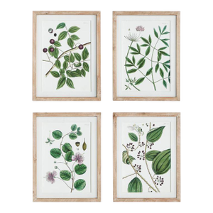 Verdant Branch Prints - Set of 4