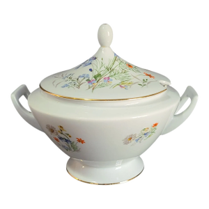Vintage Pmr Bavaria Germany Jaeger Hand Painted Fine Porcelain Floral Soup Tureen