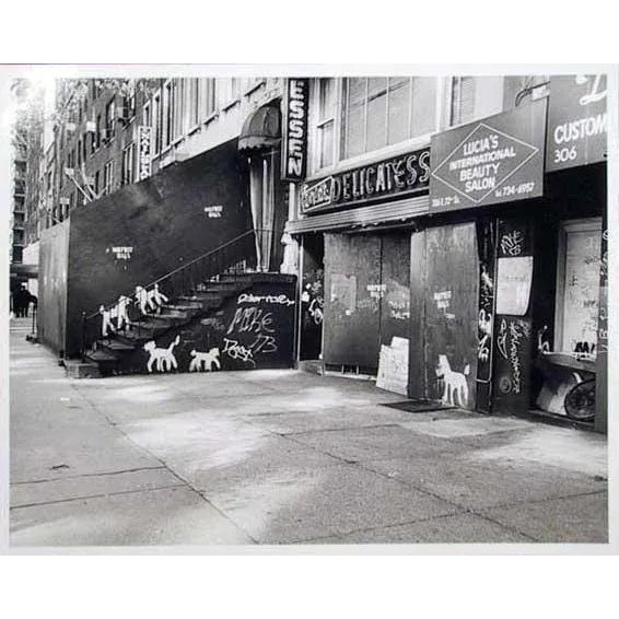 Artist: Peter Mayer, American (1954 - ) Title: New York City Deli with Dogs Year: circa 1990 Medium: Gelatin Silver Print...