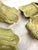 Ceramic Vintage Majolica Style Corn Cob Holders - Set of 6 For Sale - Image 7 of 7