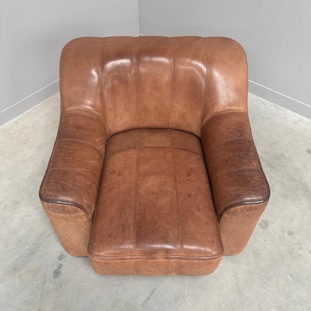 DS44 Lounge Chair from de Sede, 1970s For Sale - Image 5 of 12