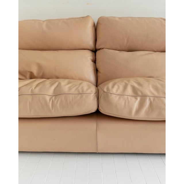 Vintage Petronio 4-6 Seater Sofa in Blush Leather by Tito Agnoli for Poltrona Frau, 1970s For Sale - Image 3 of 13
