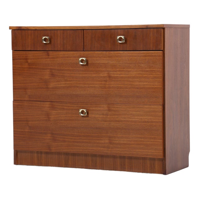 Mid-Century Shoe Cabinet, 1960s For Sale