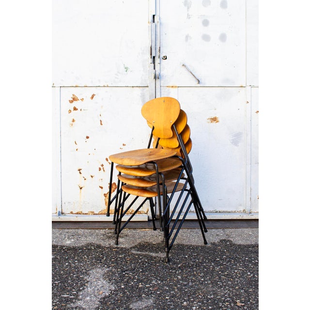 Chairs with painted metal frame, curved plywood seat and back. Designer: Aurelio Villari Manufacturer: ISA Bergamo 1950s...