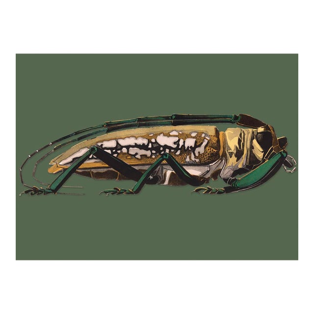 Bugs by Seguy #6 For Sale