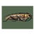 Bugs by Seguy #6 For Sale