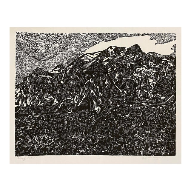Carol Meis Ellington Stormy Weather Linocut For Sale