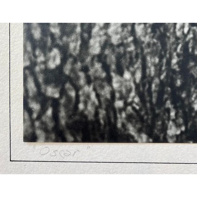 Paul Dunckhorst "Oscar" Original Black & White Photograph c.1943 – Exhibited at the Fourth Annual North American Salon For Sale In Reno/Lake Tahoe - Image 6 of 7
