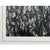Paul Dunckhorst "Oscar" Original Black & White Photograph c.1943 – Exhibited at the Fourth Annual North American Salon For Sale In Reno/Lake Tahoe - Image 6 of 7