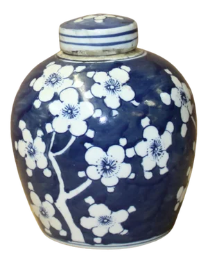 Chinese Blue White Ceramic Blossom Flowers Graphic Ginger Jar