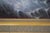 Large Oil on Canvas Peacock Painting - Artist Signed For Sale - Image 9 of 12