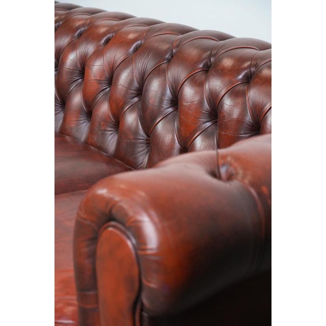 Chesterfield Three-Seater Sofa in Cowhide For Sale - Image 10 of 18