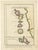 Map of the Spice Islands by Bellin, 1771 For Sale