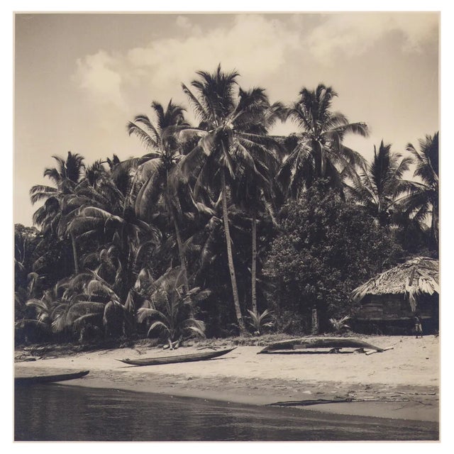 Hanna Seidel, Colombian Palm Trees on Beach, Black and White Photograph, 1960s For Sale