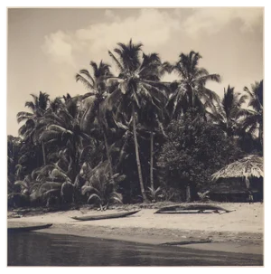 Hanna Seidel, Colombian Palm Trees on Beach, Black and White Photograph, 1960s