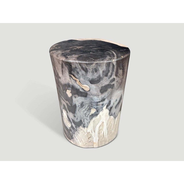 "Rare beautiful tones and markings on this impressive super smooth petrified wood side table. It’s fascinating how Mother...