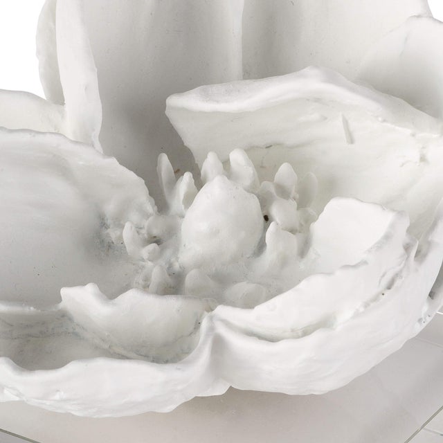 2020s Regina Andrew Magnolia Objet in White For Sale - Image 5 of 6