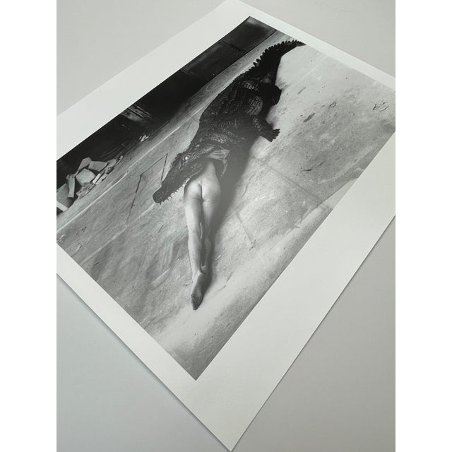 "Crocodile Eating Ballerina, Wuppertal 1983" Vintage Silver Gelatin Print by Helmut Newton For Sale - Image 4 of 8