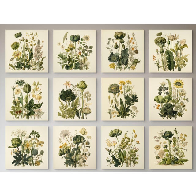 FREE SHIPPING FOR A LIMITED TIME ONLY! Set of 12 - Original Dark Green Botanical Prints Installation, Unframed Dimensions:...