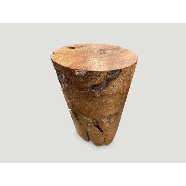 Contemporary Andrianna Shamaris Organic Cerused Teak Wood Side Table or Pedestal For Sale - Image 3 of 6