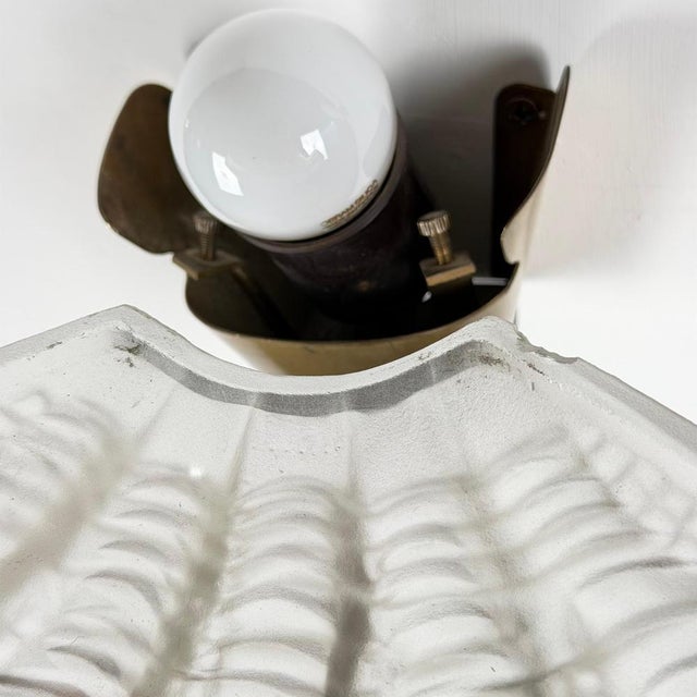 Coquille Wall Lights in Brass and Glass from Asea, Sweden, 1940s, Set of 2 For Sale - Image 17 of 18
