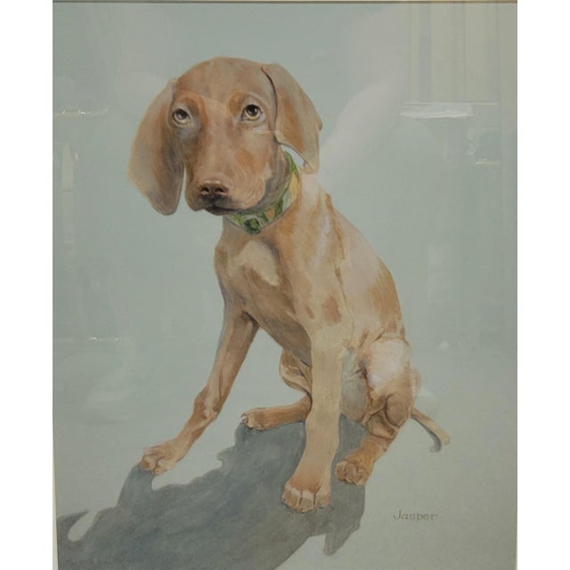 An adorable oil pastel painting or drawing of Vizsla puppy named JASPER by Pam Baldwin. Framed by the artist, this is one...