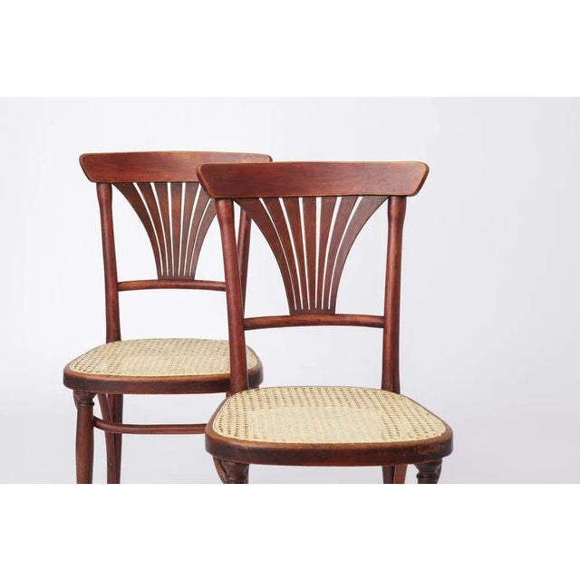 Set of Vintage #221 Chairs from Thonet For Sale - Image 5 of 11