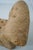 Pair of Tufted Rolled Back Lounge Chairs For Sale - Image 15 of 18