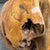 Wood Root Hand-Carved Organic Sculpture Sphere, Small For Sale - Image 9 of 12