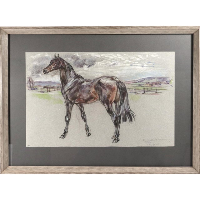 The Equestrian Eye: Original Pastel of a Stallion by Leslie Charlotte Benenson Dated May 16, 1986 For Sale - Image 4 of 8