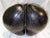 Brown Coco De Mer Lodocia Nut, 19c Carved For Sale - Image 8 of 13