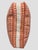 English Schumacher Tarnby Stripe Box Pillow Pair Geometric For Sale - Image 3 of 7