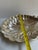 Vintage English Regency Sheffield Mid 20th Century Large 15"x 13" Heavy Silver Plated Clam Shell Serving Dish With Three(3) Hallmarks For Sale - Image 12 of 16