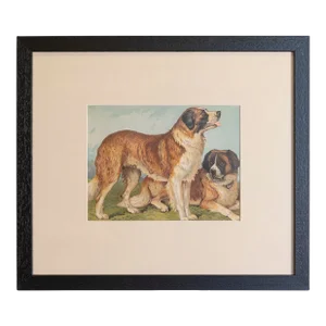 Single Print - Cassell, Petter, Galpin & Co Chromolithograph Dog Print in Black Frame