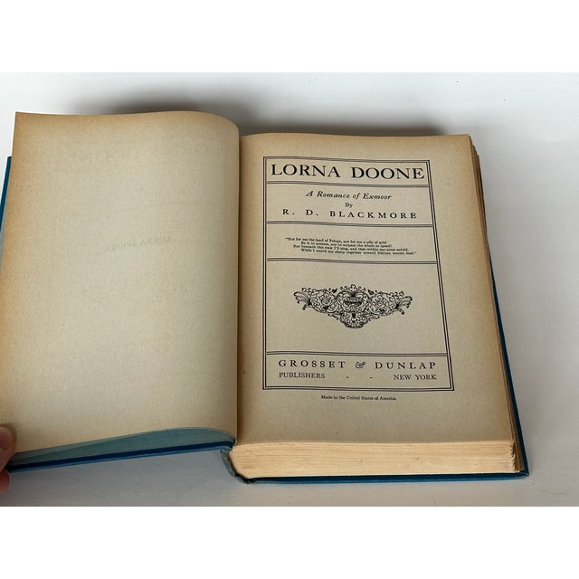 Decorative Blue and Pink Art Nouveau Antique Book Decor For Sale In New York - Image 6 of 11