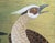 "Cherry Blossoms and Golden Birds" by Ransetsu, Heisei Era Japanese Byobu Screen For Sale - Image 10 of 18
