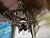 Vintage Star of David Light Fixture, 1960s For Sale - Image 10 of 11