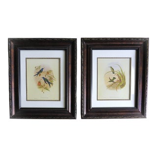 Pair of John Gould Humming Bird Lithographs Prints 1st Edition Framed For Sale