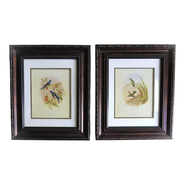 Pair of John Gould Humming Bird Lithographs Prints 1st Edition Framed For Sale