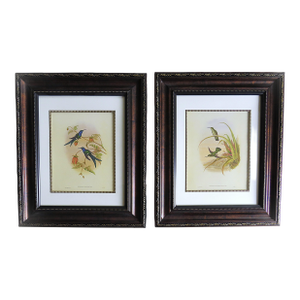 Pair of John Gould Humming Bird Lithographs Prints 1st Edition Framed