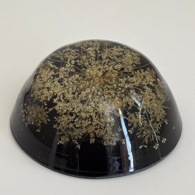 Mid-Century Modern Vintage Botanical Resin Paperweight With Pressed Queen Anne's Lace For Sale - Image 3 of 17