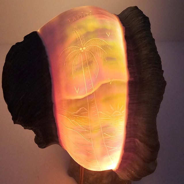 1970s Tahitian Turbo Marmoratus Mother-of-Pearl Shell Mood Lamp For Sale - Image 12 of 16
