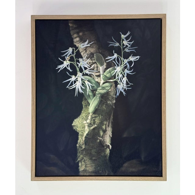 Orchid and Lizard by Susan McDonnell | Oil on Panel White Orchids With Lizard For Sale - Image 4 of 12