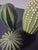 Ceramic Minimalist 3 Pc. Glazed Stoneware Cacti - Set of 3 For Sale - Image 7 of 11