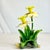 Vintage Home is pleased to present this gorgeous Yellow Daffodil Decorative Object. The porcelain home accent is in the...