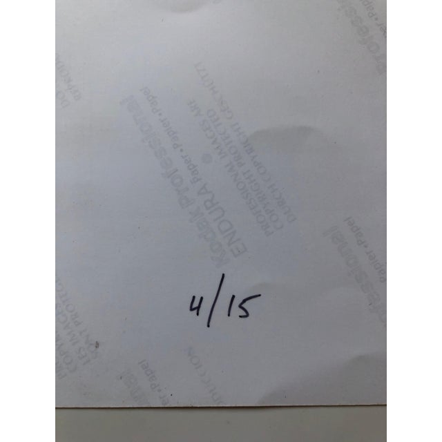 2000 - 2009 Peter C. Jones 1, Checkered Alliums, Large Format Photo 24X20 Color Photograph Beach House RI, 2008 For Sale - Image 5 of 6