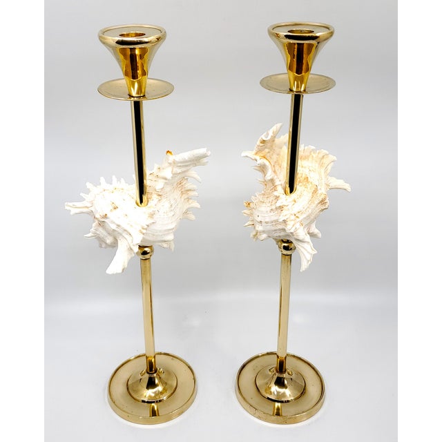 Brass Candlesticks Shells Seashells Pair For Sale In Miami - Image 6 of 15