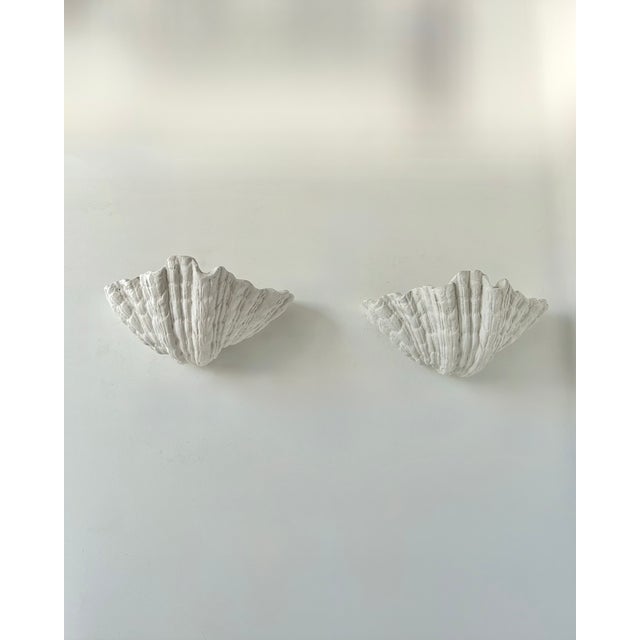 Sculpture Materials Vintage Plaster Seashell Wall Sconces attributed to S. Roche, France, 1920s, Set of 2 For Sale - Image 7 of 9