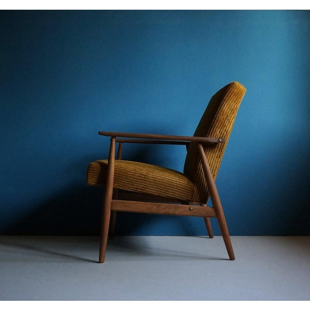 Wood Vintage Armchair From Mid Century, Dark Mustard, Restored For Sale - Image 7 of 7